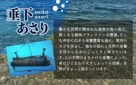 【先行予約】どでかい!垂下あさり 1.4kg 中 サイズ あさり ブランドあさり 浅利 ダシ 出汁 味噌汁 国産 アサリ 愛知県 田原市 新鮮 砂抜き 海鮮 魚介類 魚介 貝 人気 パスタ などに
