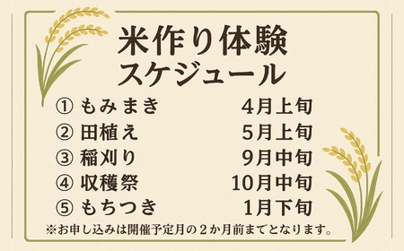 【農業体験】田植え体験 米作り 手作業 無農薬 体験 お米 米 親子 イベント 自然 自然体験
