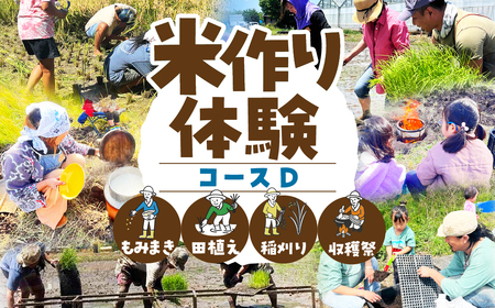 米作り体験コースD（もみまき、田植え、稲刈り、収穫祭参加） 米作り 手作業 無農薬 体験 お米 米 親子 イベント 自然 自然体験