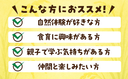 米作り体験コースD（もみまき、田植え、稲刈り、収穫祭参加） 米作り 手作業 無農薬 体験 お米 米 親子 イベント 自然 自然体験