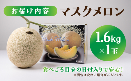 【先行予約】マスクメロン 1玉 ニュー渥美 メロン