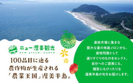 【先行予約】マスクメロン 1玉 ニュー渥美 メロン