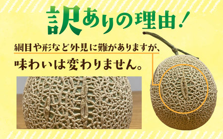 【先行予約】訳あり マスクメロン 3玉 メロン ニュー渥美観光