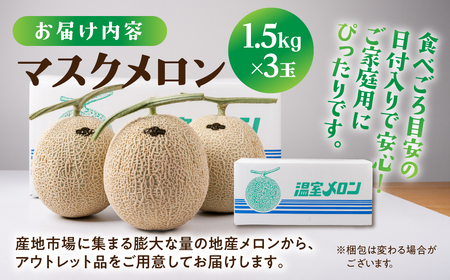 【先行予約】訳あり マスクメロン 3玉 メロン ニュー渥美観光