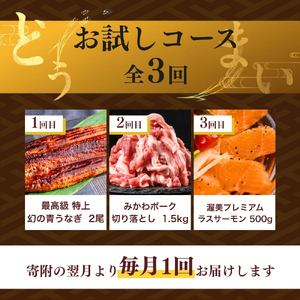 【定期便】どうまい定期便 全3回 お試しコース （ うなぎ 豚肉 サーモン) 