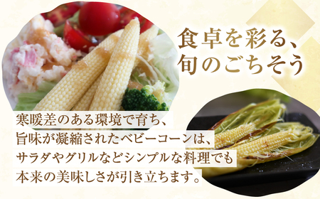 ＜先行予約＞プレミアムベビーコーン1.8kg以上　20本~25本 M～Lサイズ 