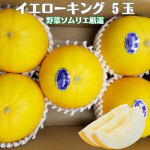 先行予約 道の駅の野菜ソムリエ厳選 イエローキング 5玉 箱詰め めっくんはうす メロン フルーツ 果物 お取り寄せ 渥美半島 産地直送 田原市 送料無料 めっくんはうす