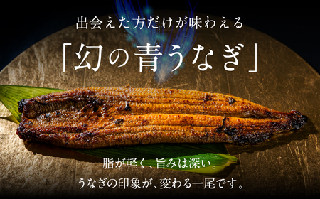  特上 幻の青うなぎ 紅白セット2尾 うなぎ