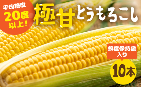 《期間限定》先行予約 平均糖度20度以上 極甘とうもろこし 10本 鮮度保持袋入り