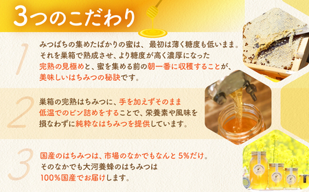 純粋百花はちみつ2本 蜂蜜 国産 蜂蜜