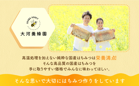 純粋百花はちみつ2本 蜂蜜 国産 蜂蜜