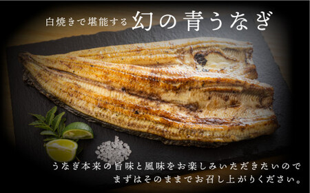 最高級 特上 幻の青うなぎ 3尾 うなぎ 白焼