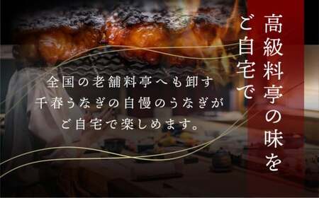 最高級 特上 幻の青うなぎ 3尾 うなぎ 白焼