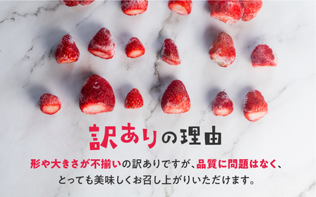 【愛知県・田原産】フローズンいちご 約1kg×2袋 ／ 冷凍いちご 苺 イチゴ 紅ほっぺ フルーツ 果物 冷凍 アイス スムージー 愛知県 産地直送 田原市 訳あり 訳ありいちご 訳あり規格外 訳あり