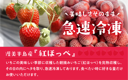 【愛知県・田原産】フローズンいちご 約1kg×2袋 ／ 冷凍いちご 苺 イチゴ 紅ほっぺ フルーツ 果物 冷凍 アイス スムージー 愛知県 産地直送 田原市 訳あり 訳ありいちご 訳あり規格外 訳あり
