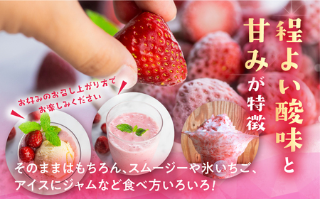 【愛知県・田原産】フローズンいちご 約1kg×2袋 ／ 冷凍いちご 苺 イチゴ 紅ほっぺ フルーツ 果物 冷凍 アイス スムージー 愛知県 産地直送 田原市 訳あり 訳ありいちご 訳あり規格外 訳あり