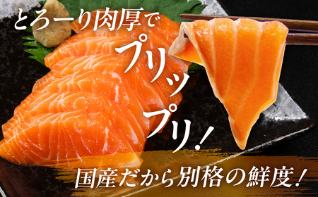 サーモン フレーク 生 & 渥美 プレミアム ラスサーモン 刺身用 柵 セット