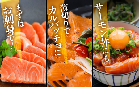 サーモン フレーク 生 & 渥美 プレミアム ラスサーモン 刺身用 柵 セット