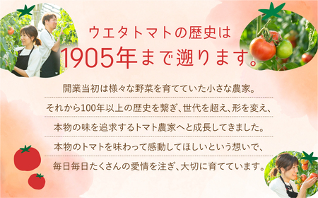 《先行予約》 濃厚！ウエタトマトのトマト 4kg