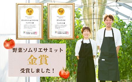 《先行予約》 濃厚！ウエタトマトのトマト 4kg