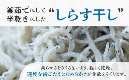 『田原市産』しらす干し約1kg ／ シラス 乾燥 新鮮 塩分控えめ 愛知県 特産品 産地直送 田原市 渥美半島