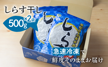 『田原市産』しらす干し約1kg ／ シラス 乾燥 新鮮 塩分控えめ 愛知県 特産品 産地直送 田原市 渥美半島