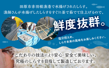 『田原市産』しらす干し約1kg ／ シラス 乾燥 新鮮 塩分控えめ 愛知県 特産品 産地直送 田原市 渥美半島