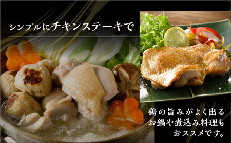 名古屋コーチン正肉セット770g / 鶏肉セット 鶏肉