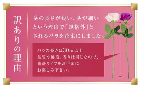 バラとグリーンの花束 30本 ご自宅用 バラ 薔薇 (訳あり 規格外　おまかせ)ローズ  花束 花束 花束ブーケ 農家直送の花束