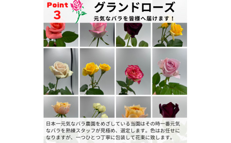 バラの花束 カジュアルブーケ 40本 バラ 薔薇 ローズ 母の日 結婚式 卒業式 花束 観賞用 ギフト プレゼント 贈り物 贈答用 自分用 誕生日 植物 花 フラワー 癒し フラワーバレンタイン はな 華 産地直送 田原市 送料無料 17000円