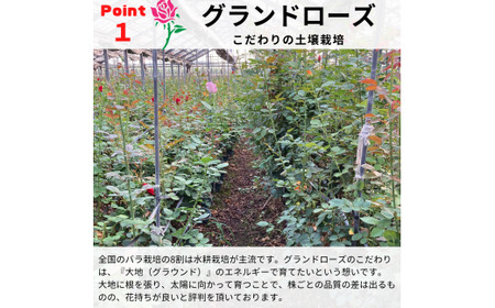 バラの花束 グランドブーケ 50本 バラ 薔薇 ローズ 母の日 結婚式 卒業式 花束 観賞用 ギフト プレゼント 贈り物 贈答用 自分用 誕生日 植物 花 フラワー 癒し フラワーバレンタイン はな 華 産地直送 田原市 送料無料 30000円 3万円