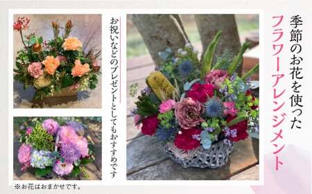 【定期便】 12回 季節のフラワーアレンジメント定期便 かご付 生花