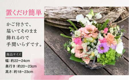 【定期便】 12回 季節のフラワーアレンジメント定期便 かご付 生花