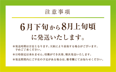  野菜ソムリエ推薦 渥美半島伊良湖潮風育ち マスクメロン 2玉  2L～3L サイズ(3～4キロ)カラーギフト箱入り お取り寄せ 渥美半島 農家直送 高級メロン 大玉メロン 産直メロン メロン めろん 高糖度メロン 農家メロン