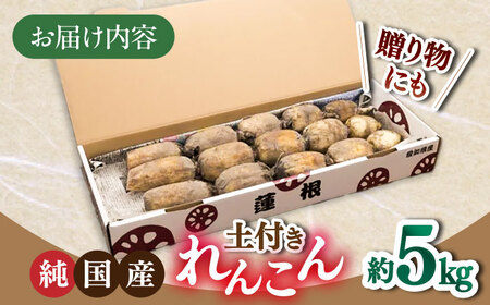 れんこん 5kg 土付き蓮根 れんこん レンコン 愛知県産 野菜 産地直送 愛西市 / 清水食品  [AEAJ002]