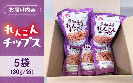 蓮根チップス 30g×5P 【清水食品株式会社】 れんこんチップ 野菜 愛知県産 野菜 産地直送 愛西市/ 清水食品株式会社[AEAJ003]