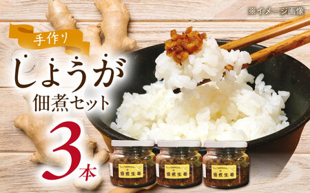 しょうが 佃煮 大瓶3本 生姜[AEAO003]