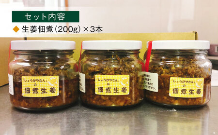 しょうが 佃煮 大瓶3本 生姜[AEAO003]