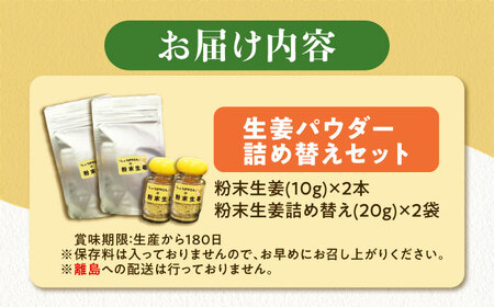 しょうが パウダー 詰め替え 生姜 粉末[AEAO004]