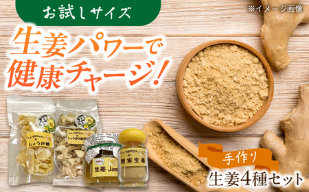 しょうが 加工品 4種セット（小） 生姜[AEAO006]