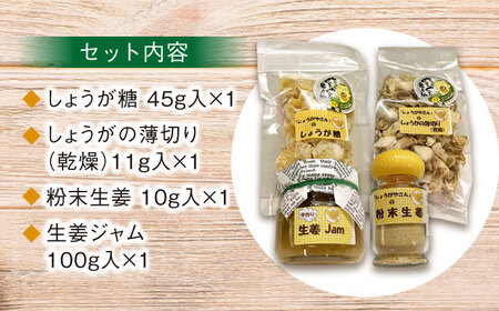 しょうが 加工品 4種セット（小） 生姜[AEAO006]