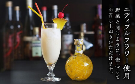 リキュール 2本 ピーチ パイナップル[AEAR001]