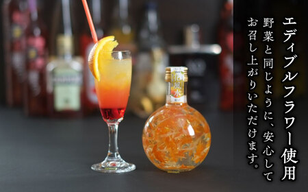 リキュール 2本 ピーチ みかん[AEAR002]