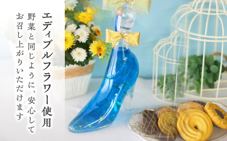 リキュール 2本 ライム オレンジ[AEAR003]