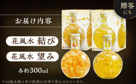 リキュール 2本 パイナップル みかん[AEAR004]