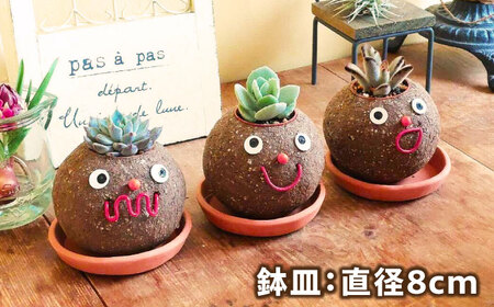 つちだくん2個セット 多肉 ポット セット 愛西市 / 花のひより園