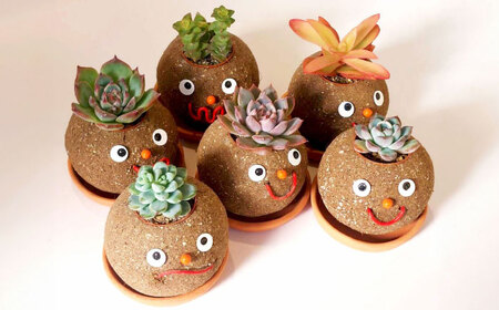 多肉 ポット つちだくん2個 多肉植物[AEAX003]