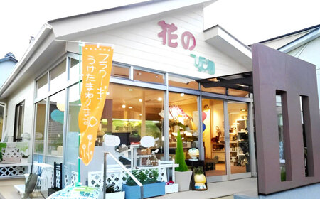 多肉 ポット つちだくん2個 多肉植物[AEAX003]