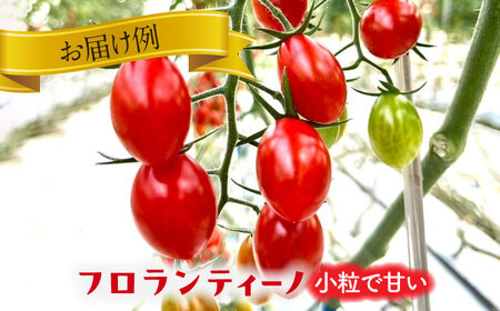 カラフル ミニトマト 1kg 野菜 トマト[AEBG001]