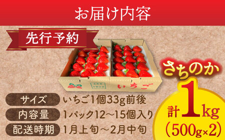 さちのかいちご 500g×2パック 計1kg　イチゴ　フルーツ　果物　愛西市/平野苺[AEAY001]